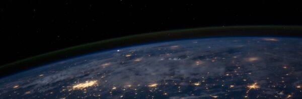 What is pica in dogs image